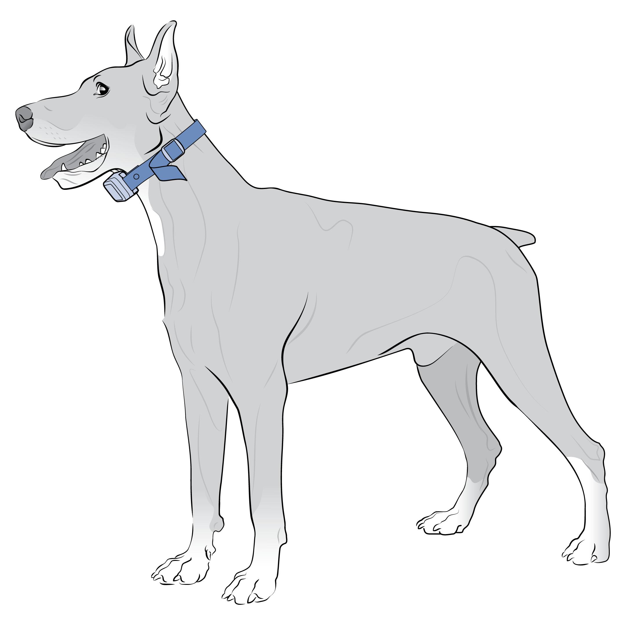Center Collar