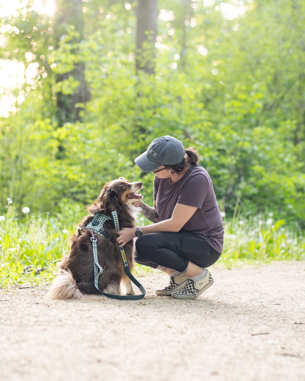 Woman kneeling to pet Aussie dog wearing gingham Easy Walk Comfort Harness and Bungee Leash