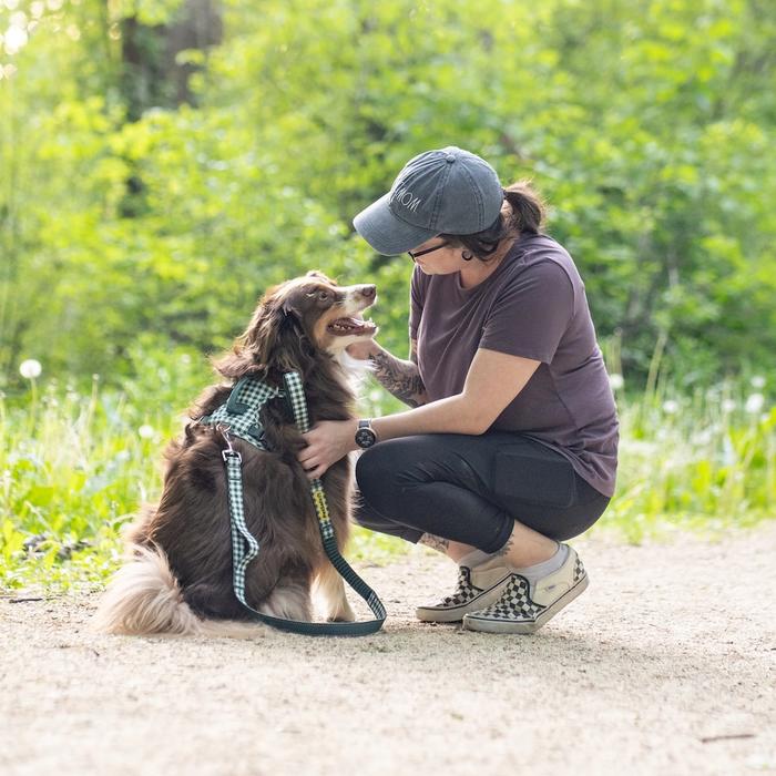 Woman kneeling to pet Aussie dog wearing gingham Easy Walk Comfort Harness and Bungee Leash