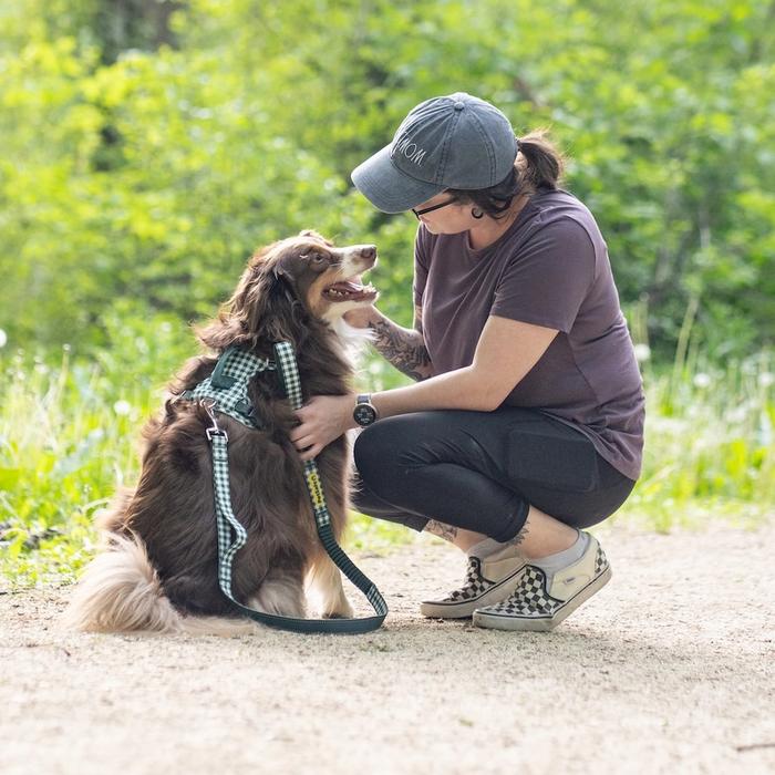 Woman kneeling beside dog wearing gingham Comfort Collar, Harness and Leash