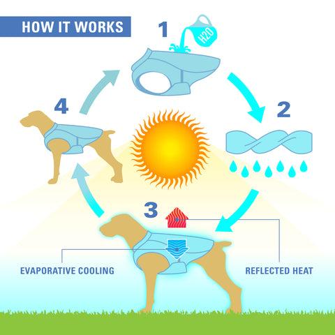 Dog Core Cooling Vest