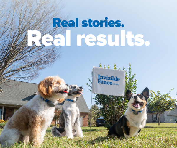 Real Stories. Real Results.