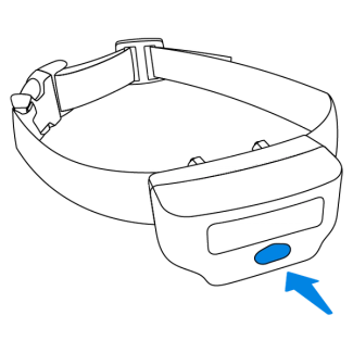 The collar automatically turns on