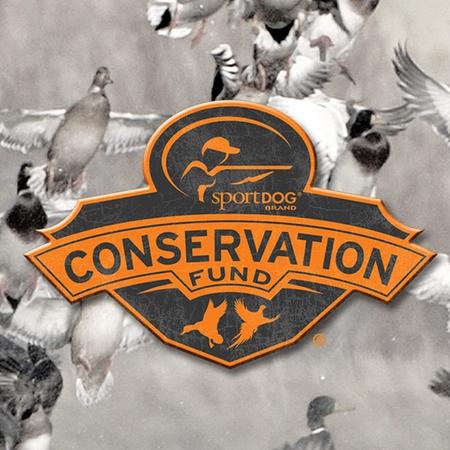 SportDOG Conservation Fund logo in the foreground with an image of ducks flying in the background