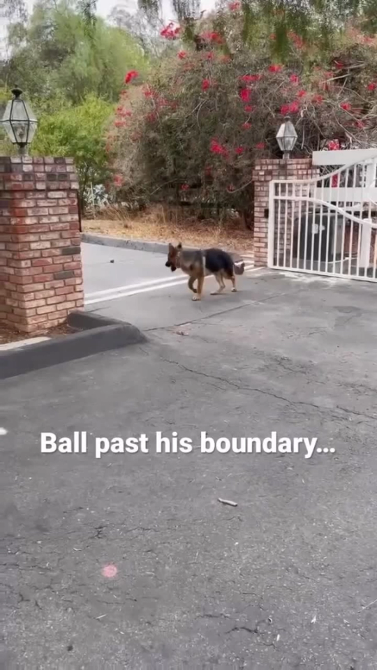 Training Reliability: He Knew to Stay Away
