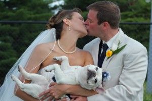Dogs can be great flower girls at weddings-- just look at Buckley!