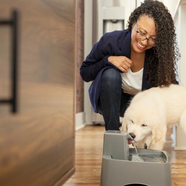 Woman petting puppy as puppy drinks from fountain