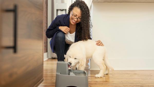 Woman petting puppy as puppy drinks from fountain