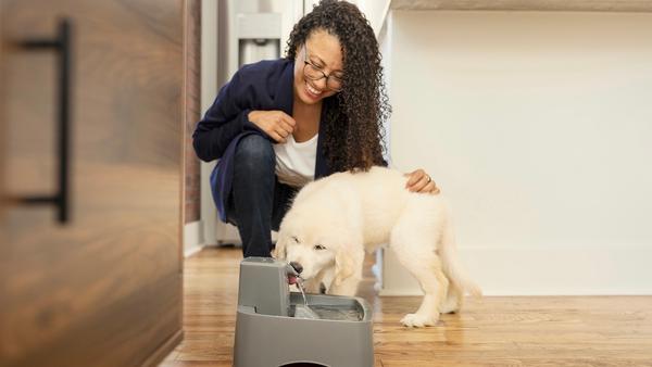 Woman petting puppy as puppy drinks from fountain