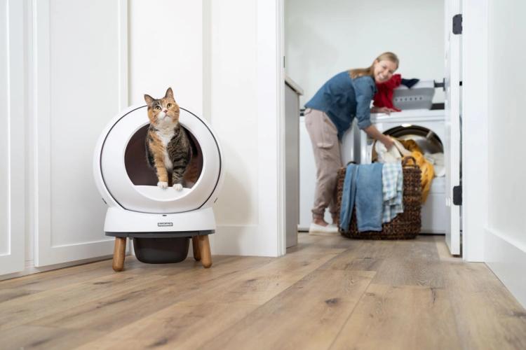 Cat standing in white SmartSpin automatic litter box, woman doing laundry in the background