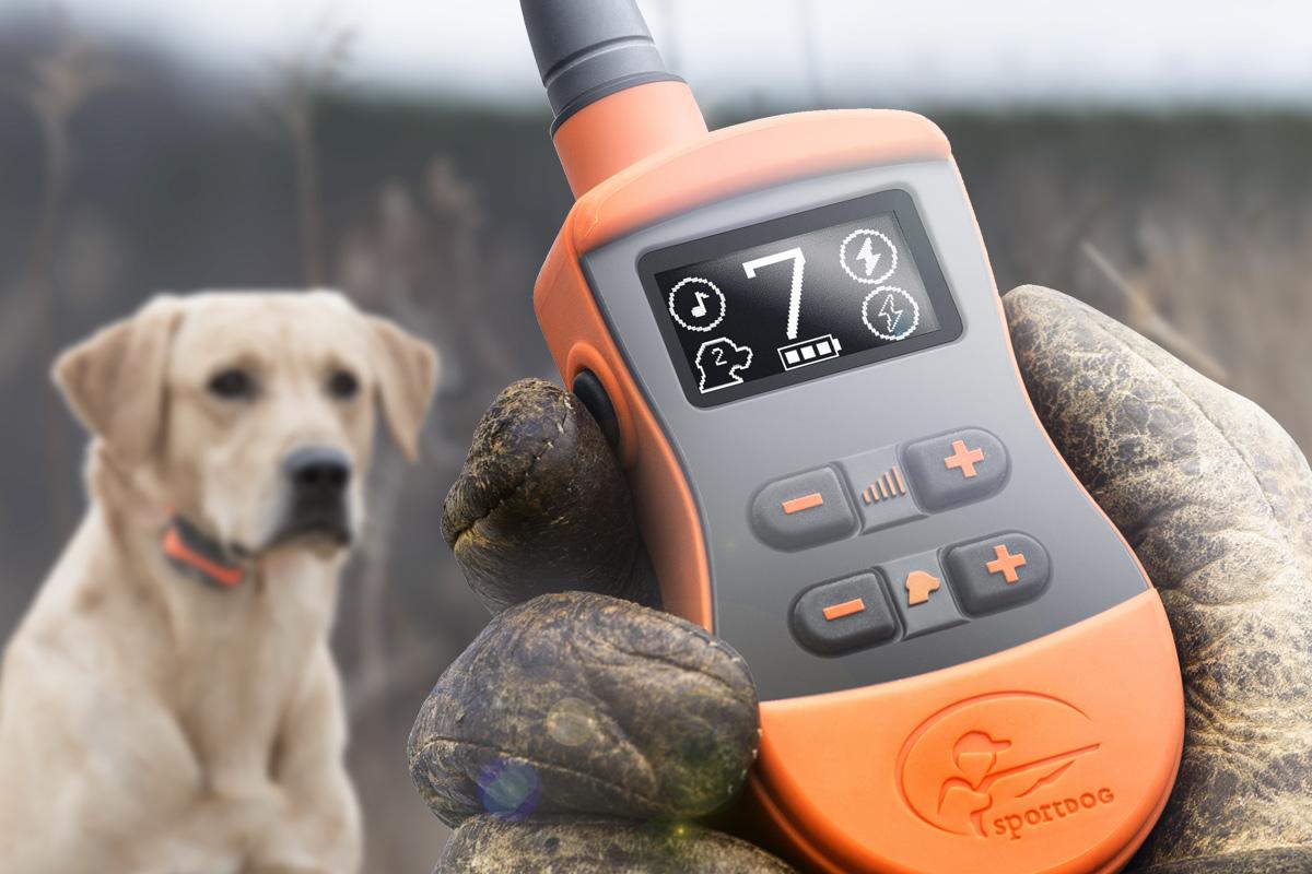 E-Collar remote with OLED screen held in gloved hand with yellow lab in background.
