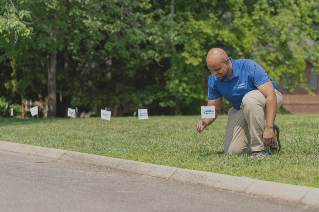 invisible fence trainer setting up flags in yard