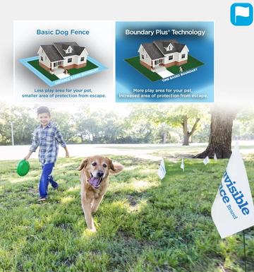 Outdoor Electric Fences for Dogs and Cats - The Invisible Fence® Brand