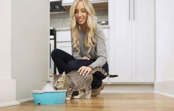 Woman petting kitten drinking from butterfly pet fountain