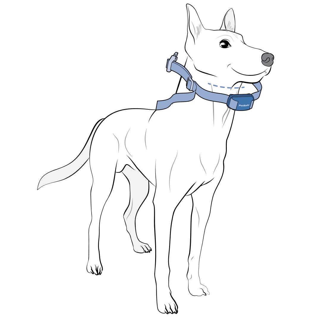 Center The Collar