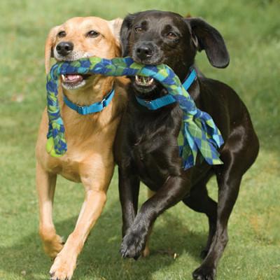tug of war