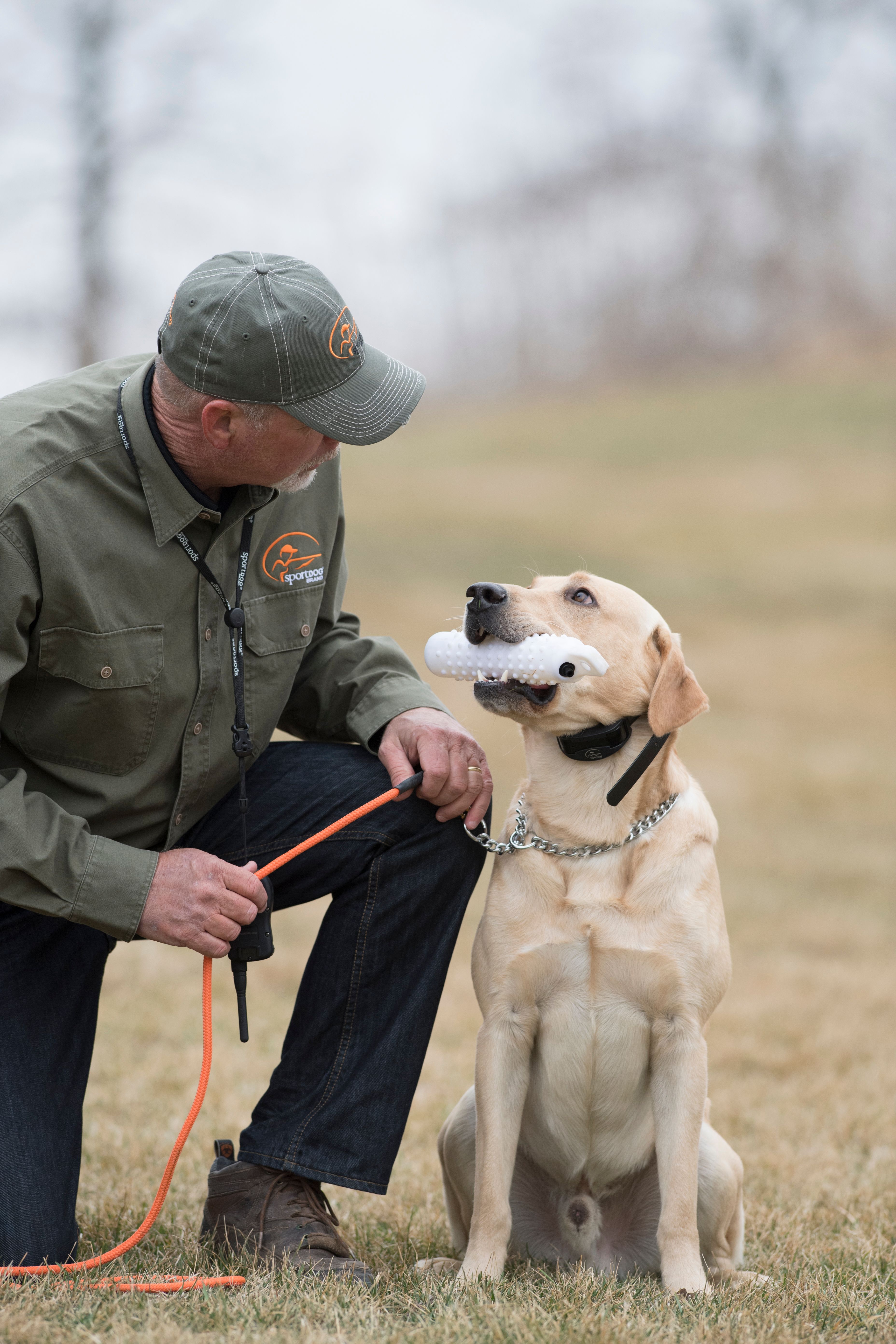 Training Gun Dogs for Double & Triple Retrieves - Wildfowl
