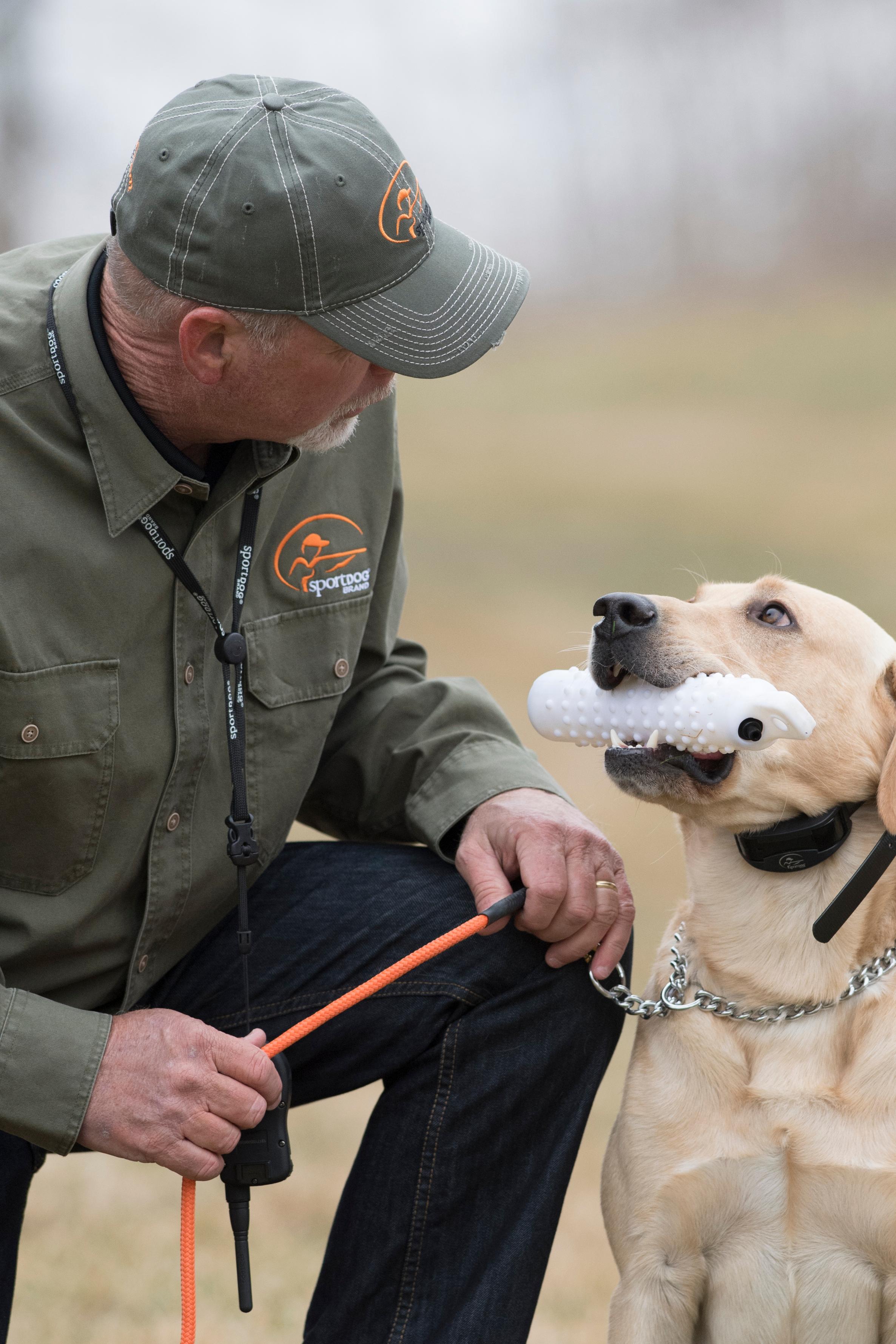 Man kneeling and looking down at yellow lab who is sitting looking up at him