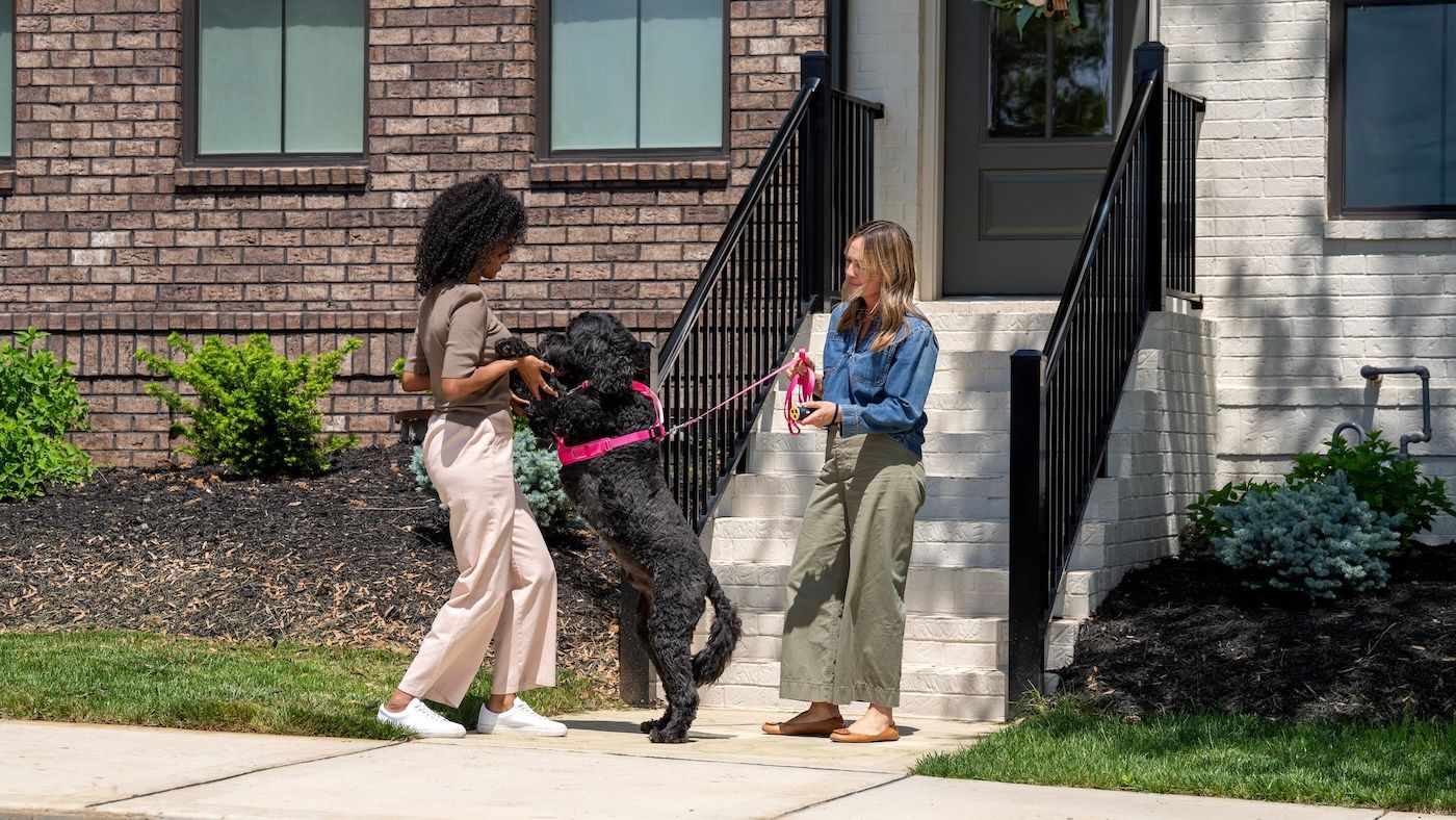 Large dog jumping on woman