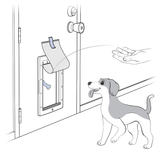 Toss Treat Through Pet Door Flap Up