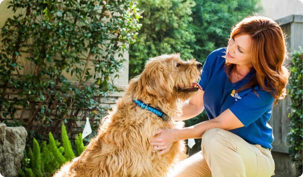 Woman trainer kneeling down and petting happy dog