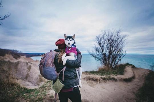 ​Puppy's First Holidays Gift Wish List