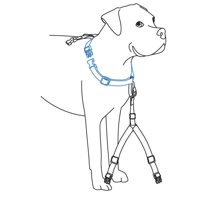 how-to-fit-3-in-1-harness-illustration1