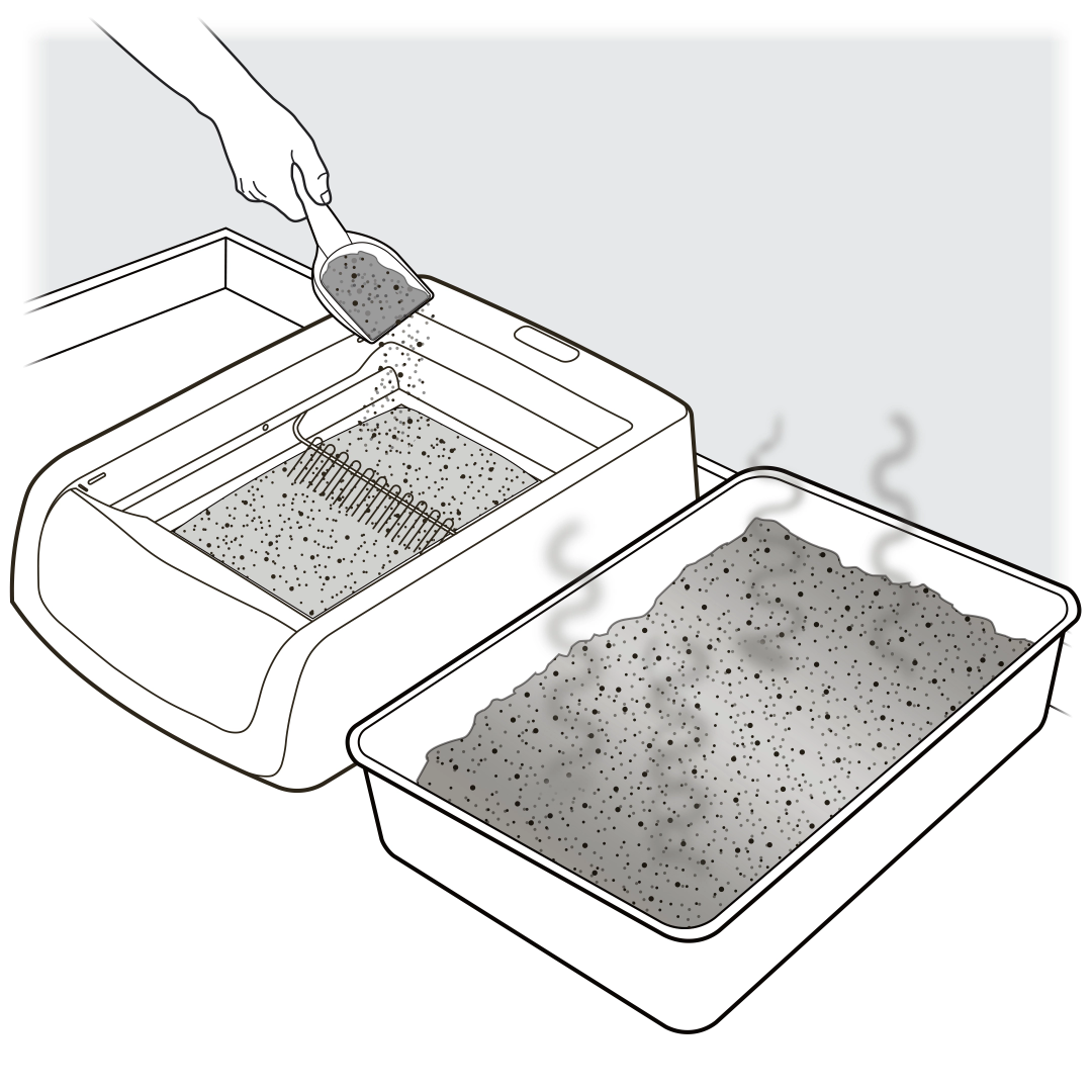 Sprinkle old litter into new box