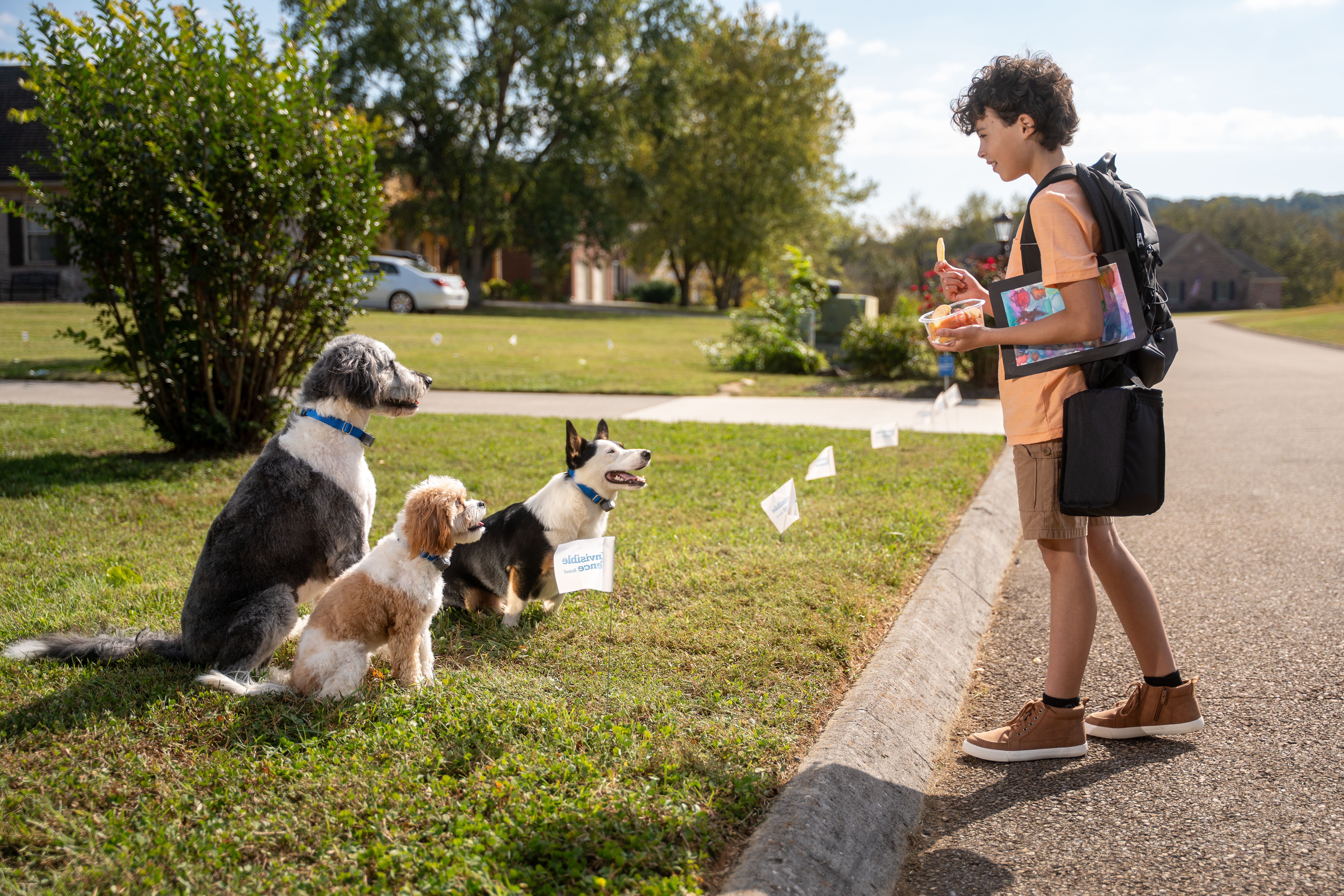 3 dogs obeying their Invisible Fence Boundary, indicated by a branded flag in the ground
