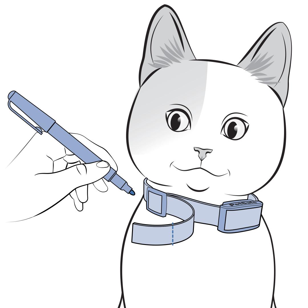 Trim Extra Strap On Cat