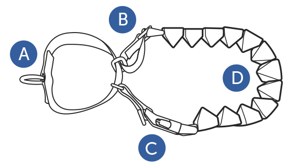 fit-soft-point-training collar-to-dog-diagram-illustration