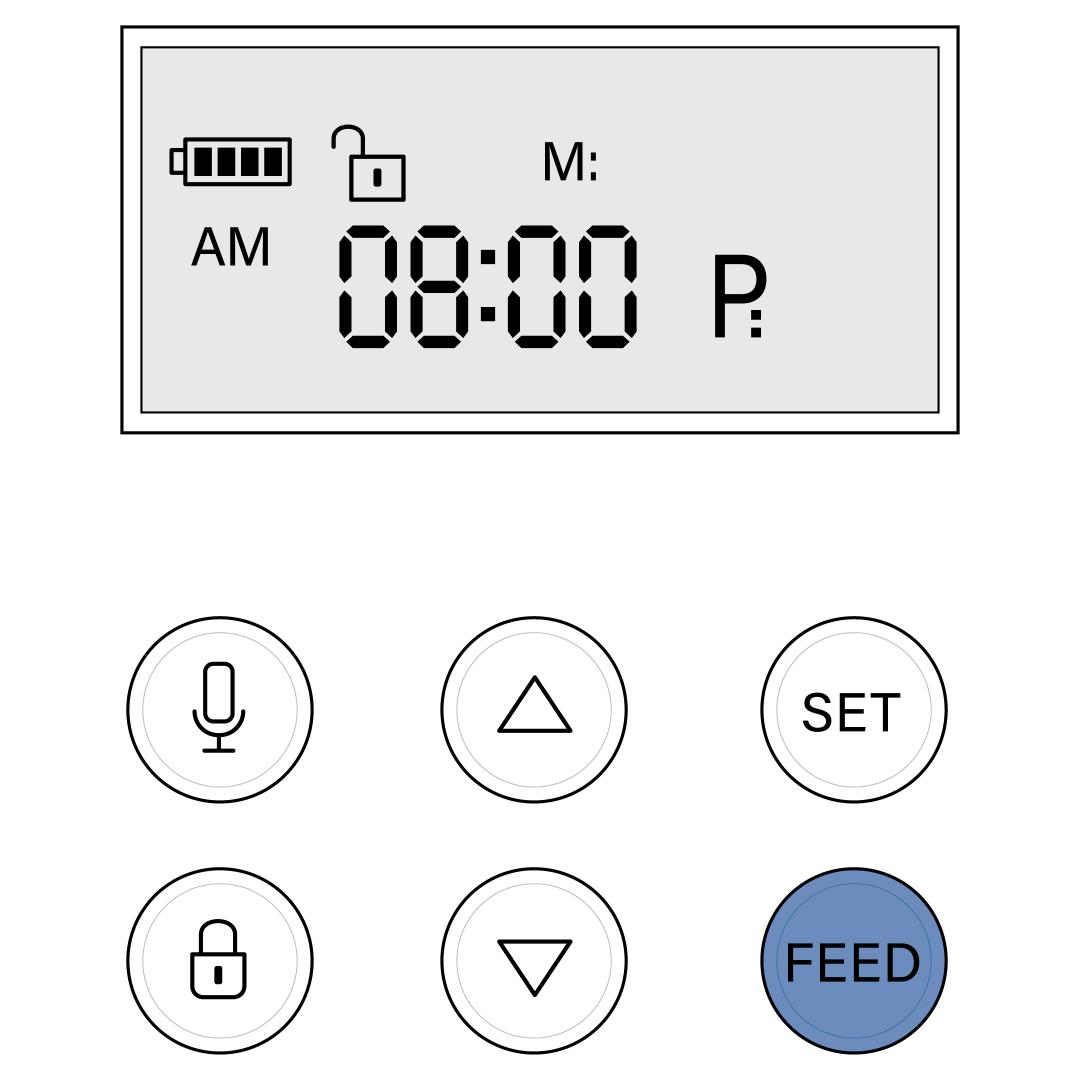 Feed Button