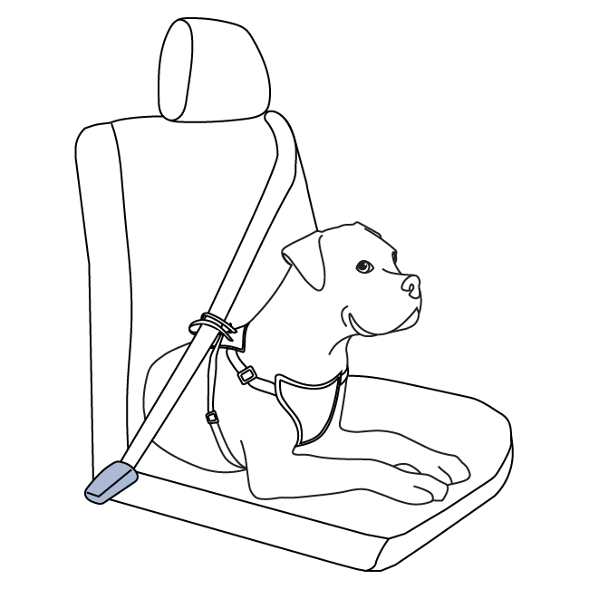 how-to-use-happy-ride-safety-harness-car-restraint-steps-illustration2