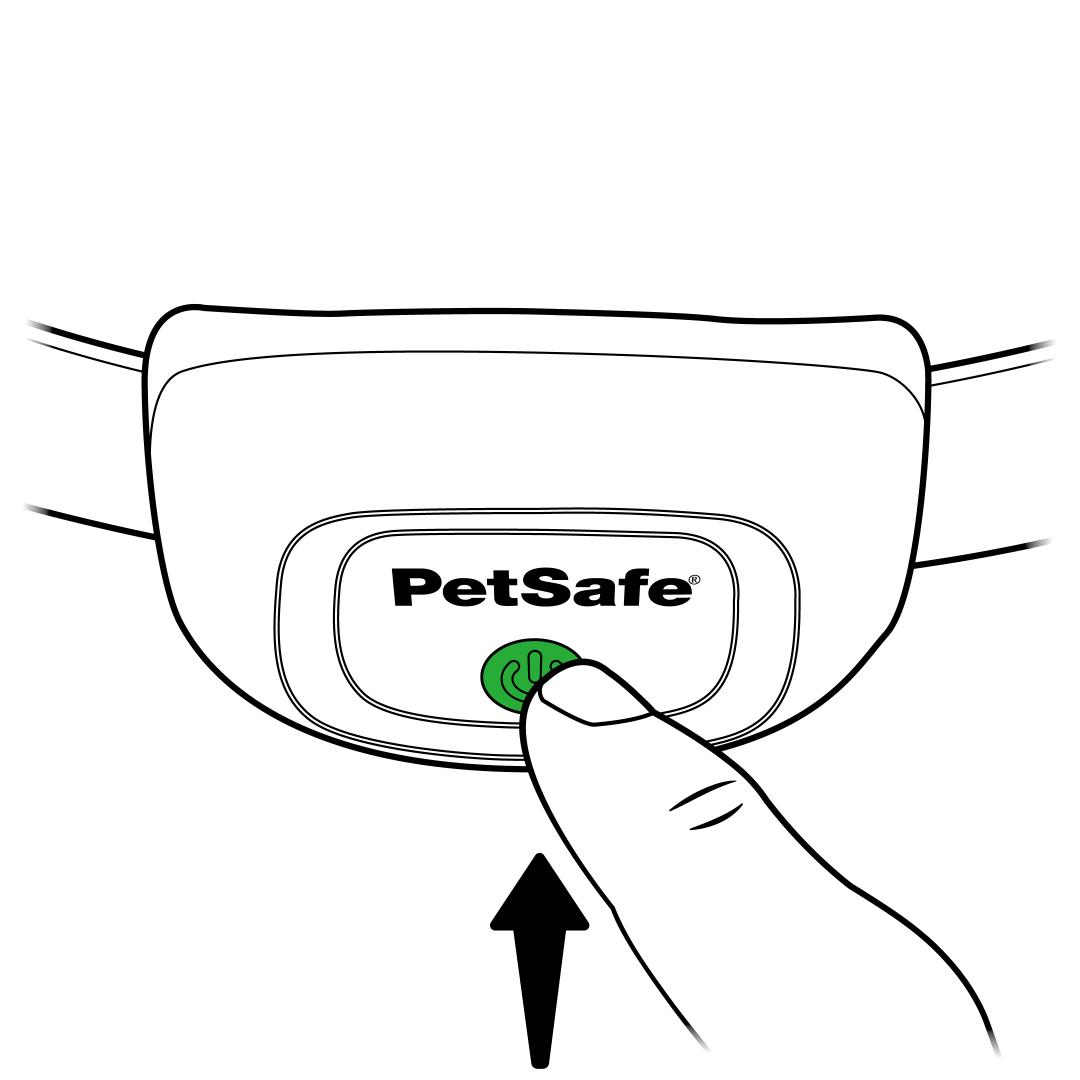 Press & hold power button, green light