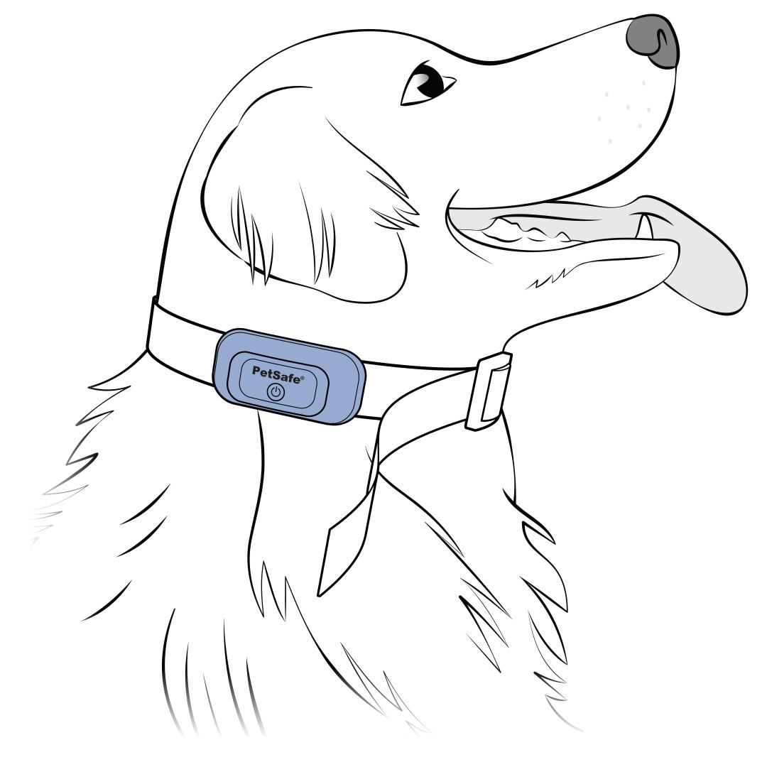 Adjust Collar