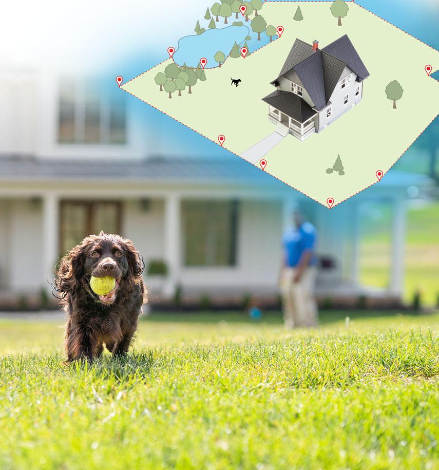 Dog running outside with tennis ball and graphic of fence surrounding aerial view of house