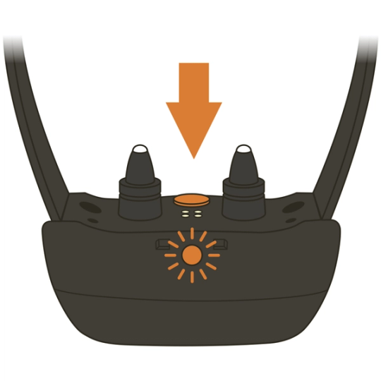 SD SDF 100C_Press & Hold Power Button