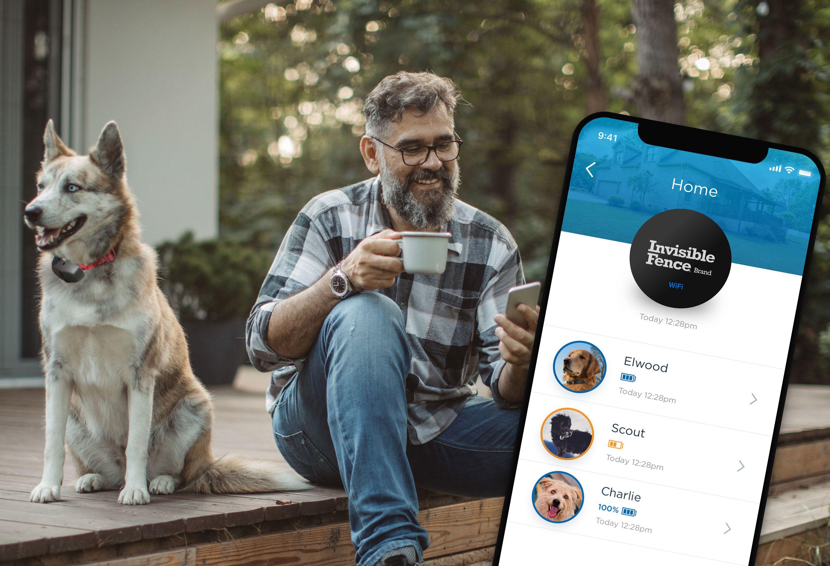 Man sitting on deck with dog, looking at smartphone