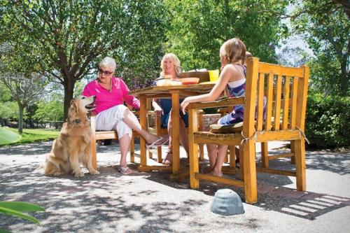 family enjoying an outdoor lunch with well-behaved dog