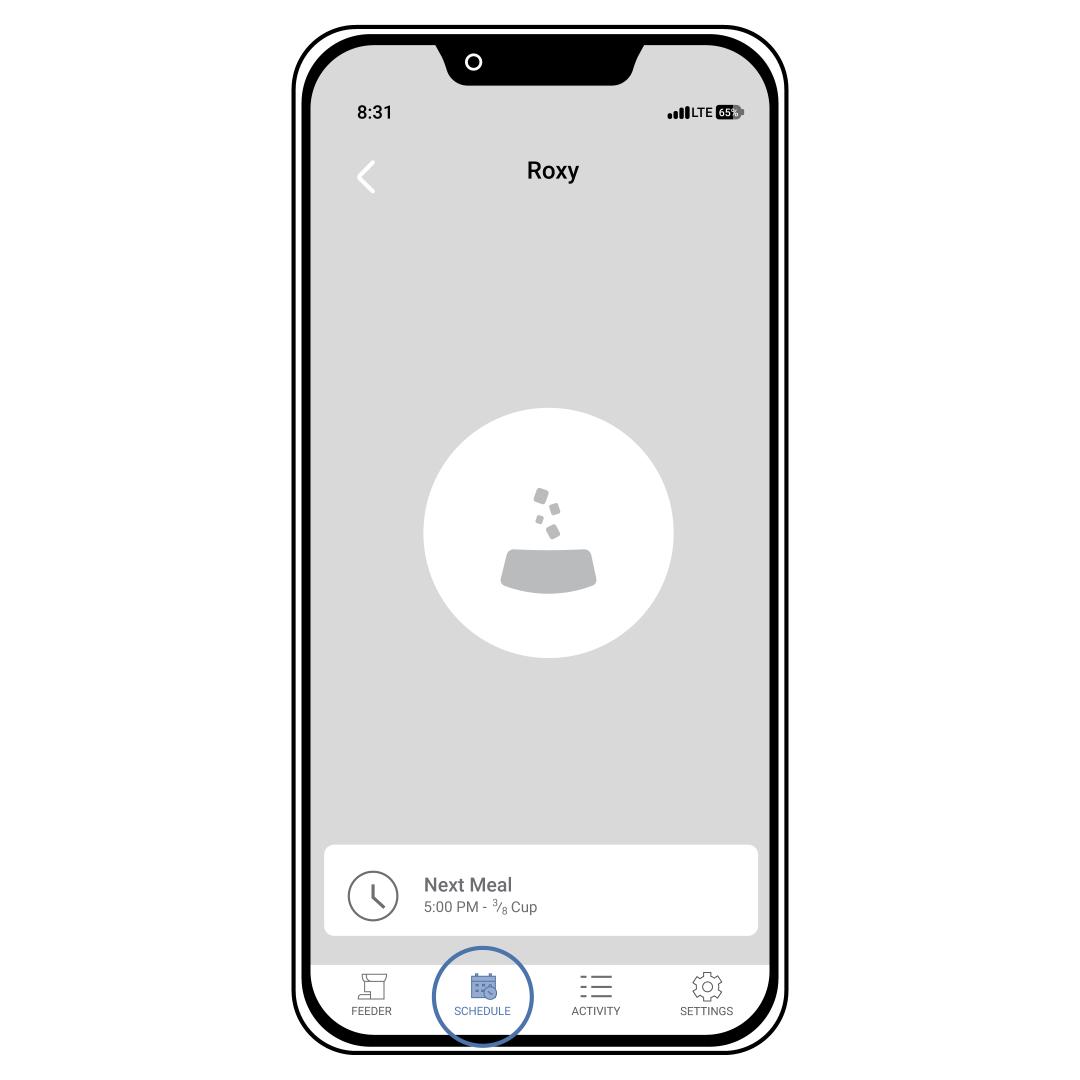 Mobile App Schedule