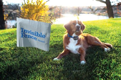 well-maintained yard with dog staying in designated areas thanks to invisible fence brand system