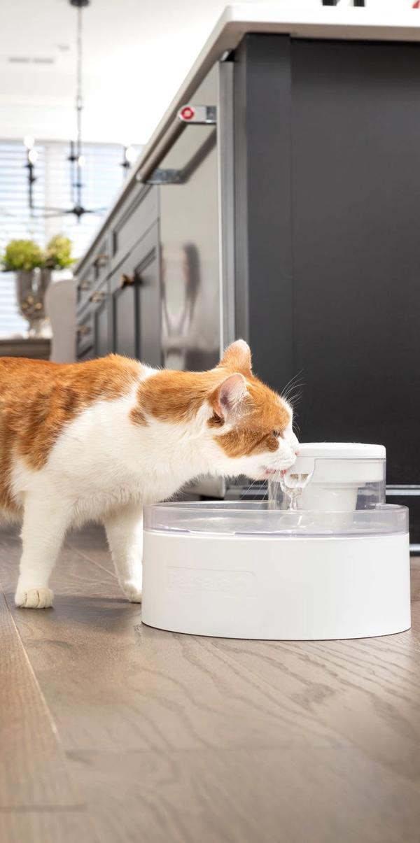 llamada de marketing