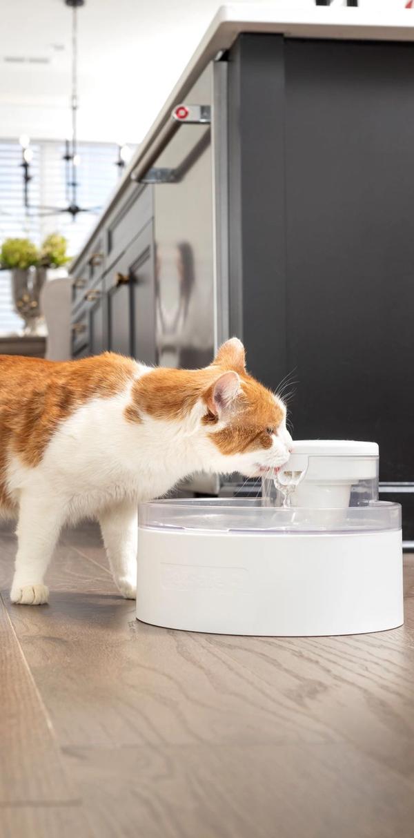 richiamo pubblicitario