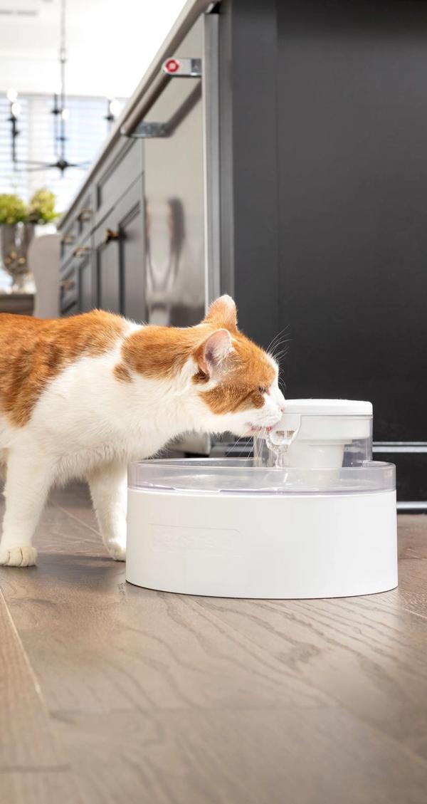 argumentaire marketing