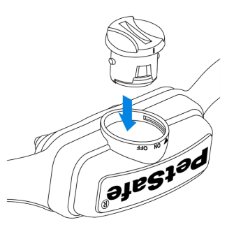 Insert the battery