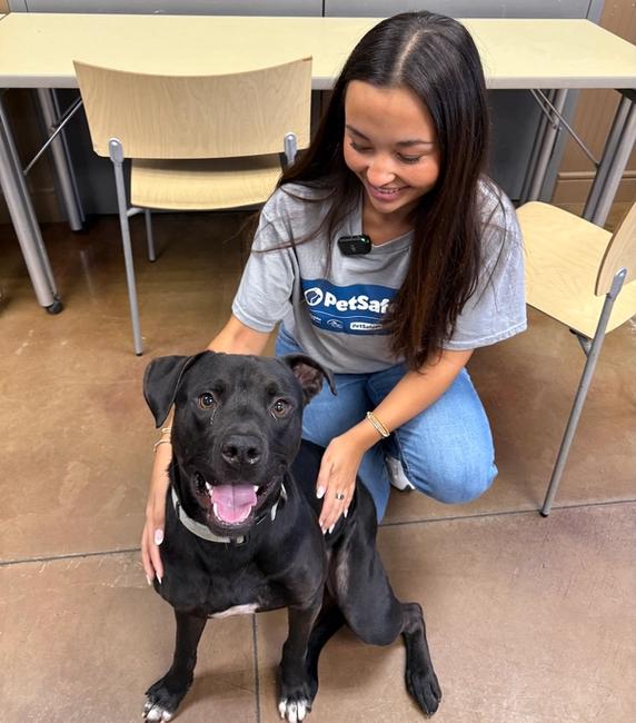 Woman petting adoptable dog at shelter