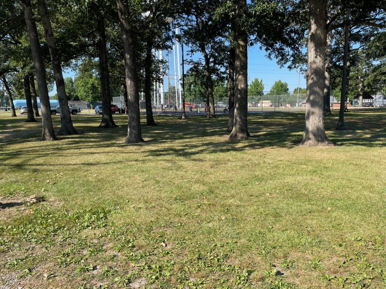 image1-1