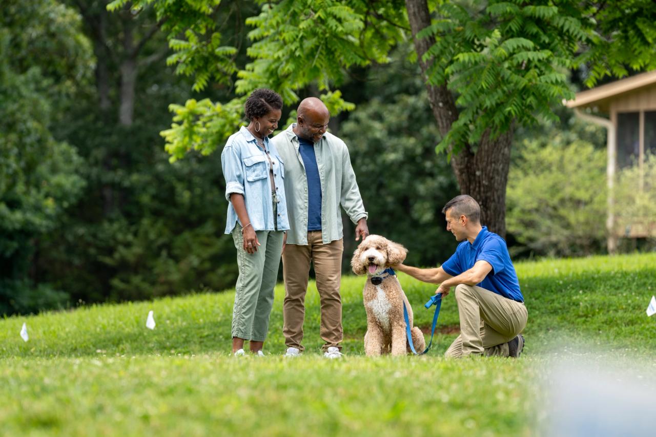 invisible fence trainer working with a dog and its owner