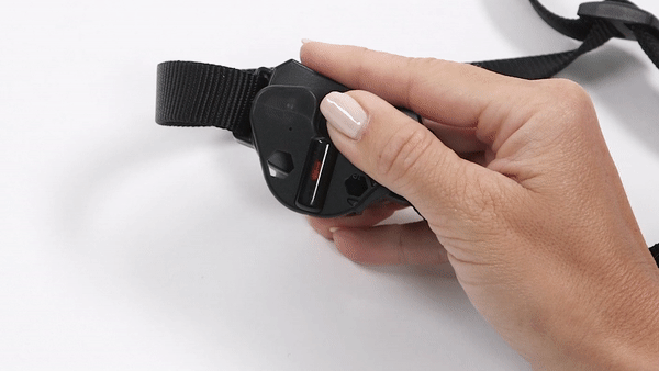 How to Test the PetSafe Stay Play Fence