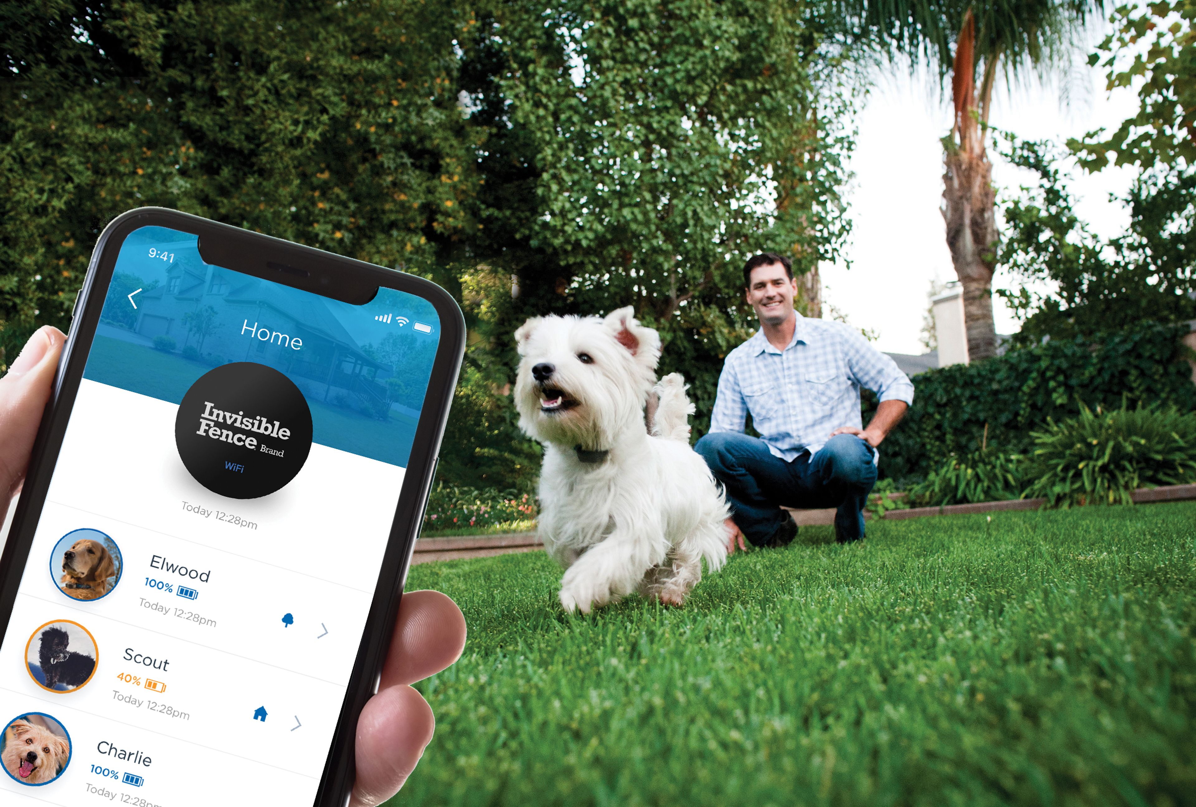 Young dog running freely in front yard